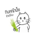 The crazy catt. Meowww（個別スタンプ：13）
