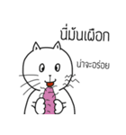 The crazy catt. Meowww（個別スタンプ：14）