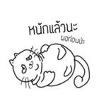 The crazy catt. Meowww（個別スタンプ：17）