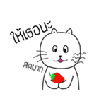 The crazy catt. Meowww（個別スタンプ：18）