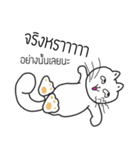 The crazy catt. Meowww（個別スタンプ：20）
