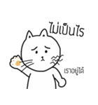 The crazy catt. Meowww（個別スタンプ：22）