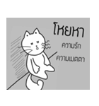 The crazy catt. Meowww（個別スタンプ：30）