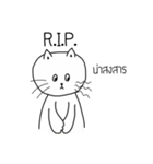 The crazy catt. Meowww（個別スタンプ：35）