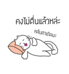The crazy catt. Meowww（個別スタンプ：40）