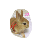 @POPO（個別スタンプ：1）