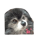 うららばあさん（個別スタンプ：3）