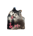 うららばあさん（個別スタンプ：5）