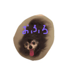 うららばあさん（個別スタンプ：8）