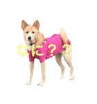 さくらと愉快な仲間たち（個別スタンプ：14）