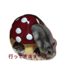可愛いハムスター（個別スタンプ：2）