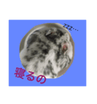 可愛いハムスター（個別スタンプ：8）