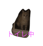 パスにゃんパス（個別スタンプ：8）