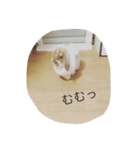 うさぎのもっち☆彡2（個別スタンプ：3）