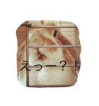 うさぎのもっち☆彡2（個別スタンプ：5）