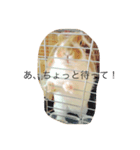 うさぎのもっち☆彡2（個別スタンプ：6）