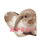 うさぎのもっち☆彡2（個別スタンプ：7）