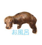 もっこもこ（個別スタンプ：1）