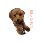 もっこもこ（個別スタンプ：2）