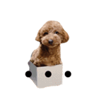 もっこもこ（個別スタンプ：8）