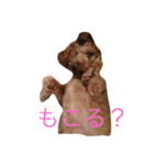 もっこもこ（個別スタンプ：9）