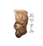 もっこもこ（個別スタンプ：11）