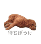 もっこもこ（個別スタンプ：17）