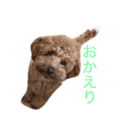 もっこもこ（個別スタンプ：21）