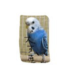 インコの一日（個別スタンプ：8）