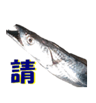 fish with fish（個別スタンプ：12）