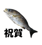 fish with fish（個別スタンプ：19）