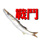 fish with fish（個別スタンプ：20）