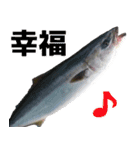 fish with fish（個別スタンプ：21）