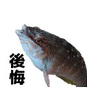 fish with fish（個別スタンプ：27）