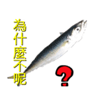 fish with fish（個別スタンプ：30）