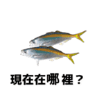 fish with fish（個別スタンプ：32）
