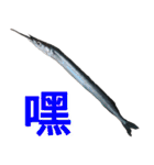 fish with fish（個別スタンプ：40）