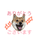 ゆきち（個別スタンプ：4）