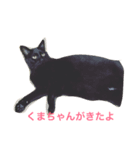 黒猫くまちゃん（個別スタンプ：2）