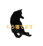 黒猫くまちゃん（個別スタンプ：4）