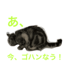 ねこの日常1（個別スタンプ：5）