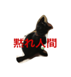 黒猫ちー（個別スタンプ：3）