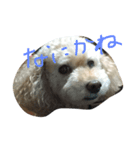 けんたくん（個別スタンプ：7）