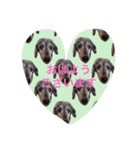 美咲家のハッピードッグ2（個別スタンプ：2）