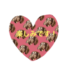 美咲家のハッピードッグ2（個別スタンプ：5）