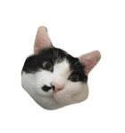 みーのすけ（個別スタンプ：3）
