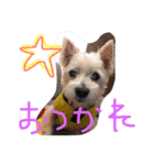 おばかちゃん's（個別スタンプ：4）