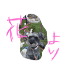 おばかちゃん's（個別スタンプ：9）