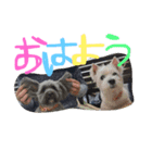 おばかちゃん's（個別スタンプ：14）