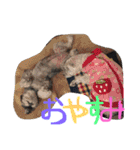 おばかちゃん's（個別スタンプ：15）
